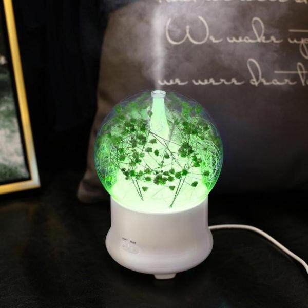 leegoal Ultrasonic Aromatherapy Essential Oil Diffuser AromaDiffuser Cool Mist Humidifier Preserved Fresh Flower-US Plug - intl Singapore