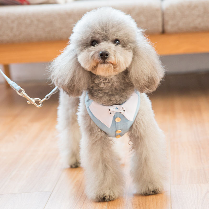 Bow Tie Button Dog Vest Traction Rope Small Medium-sized Dog Teddy Pet Chest Strap Dog Rope