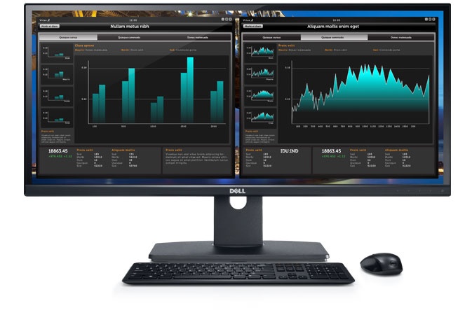Dell UltraSharp U2913WM 29'' Monitor - Surround yourself with panoramic widescreen