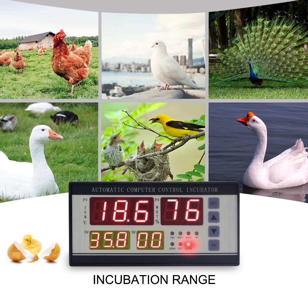 New XM-18 Digital Automatic Small Egg Incubation Controller Temperature Controller Humidity and Temperature Sensor (Plug) ราคา 1,178 บาท*ส่งฟรี