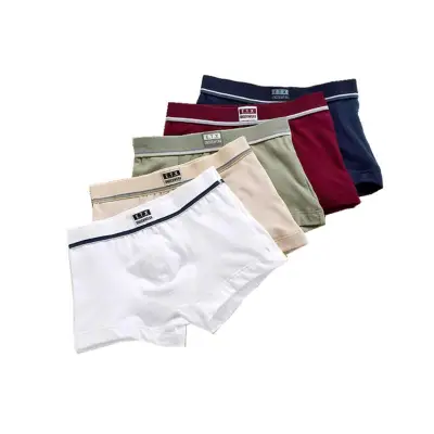 5PCS/Set Children Boy Underpants Cotton Soft Boxer Underwear for Kids