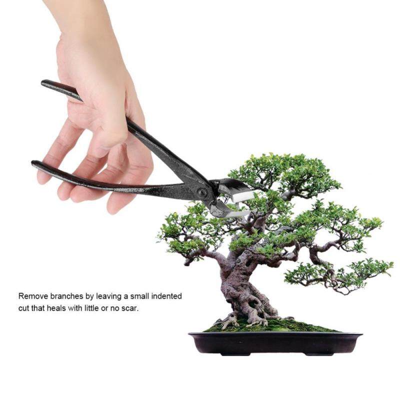 205mm Professional Garden Branch Cutter Beginner Bonsai Tools Zinc Alloy Round Edge - intl