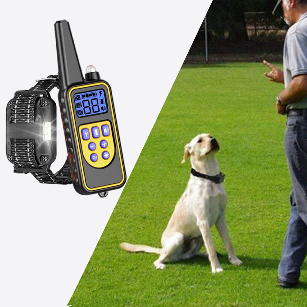 remote control dog leashes
