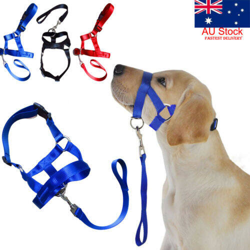 dog muzzle gentle leader