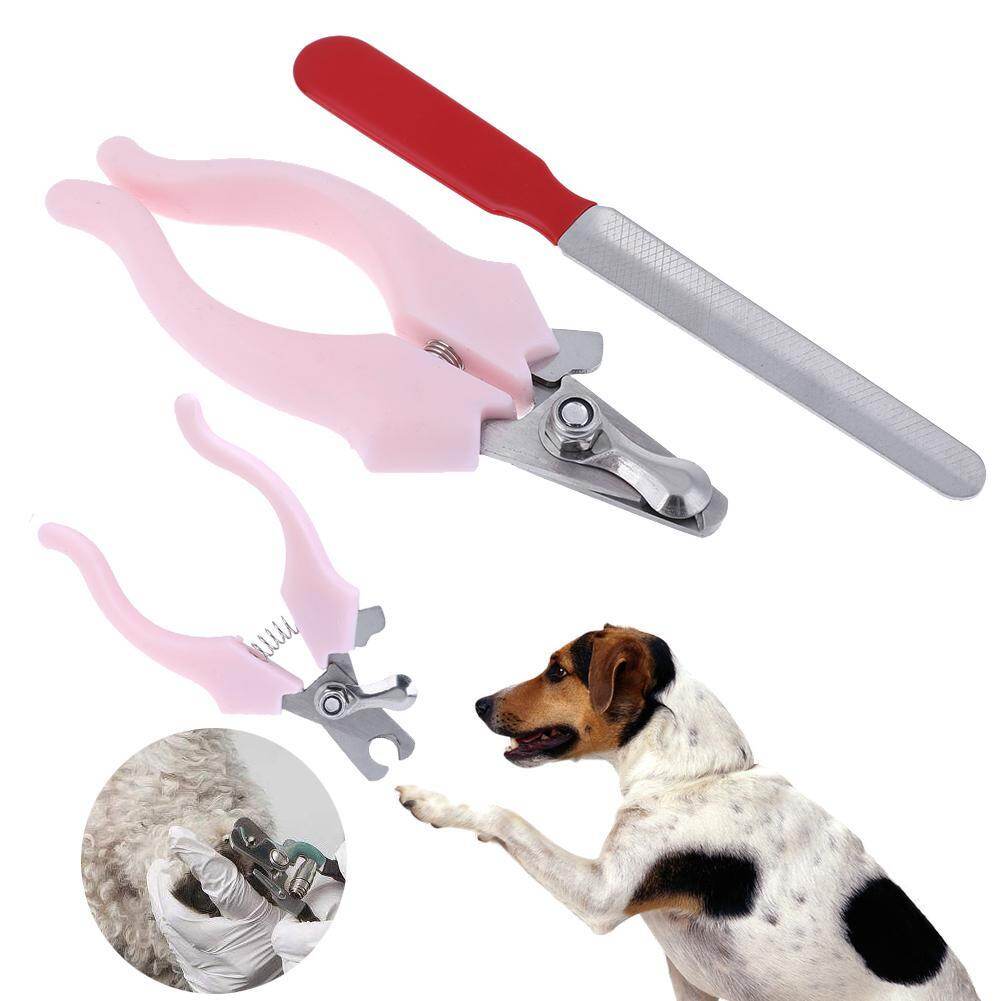 nail clippers for dogs near me