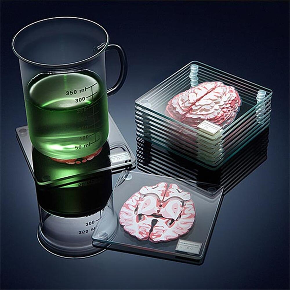 Brain Specimen Coasters Set 3D Organ Brain Artwork Brain Slices Square