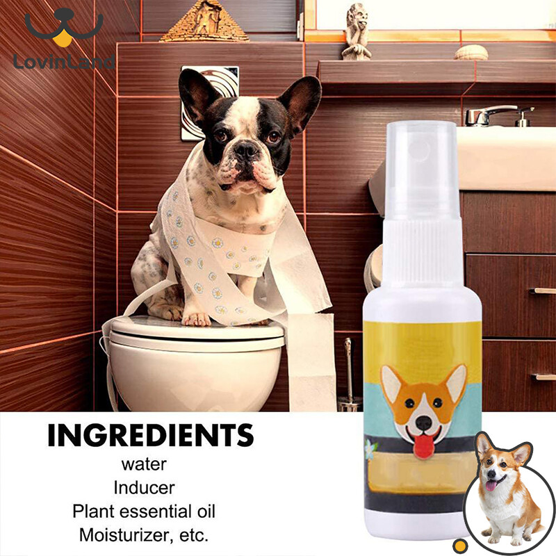  Lovinland 30ml phun họa tiết cún cưng inducer Dog đạo cụ inducer chó miếng lót cho cún con Doggy tập đi vệ sinh nhà vệ sinh cho chó con Thú cưng nguồn cung cấp 