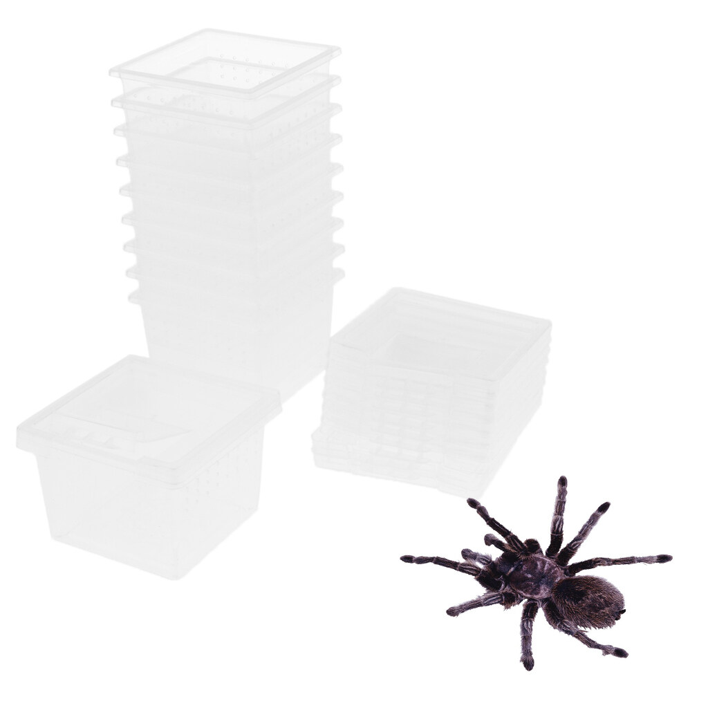 Dolity 10x Insect Reptile Spider Terrariums Breeding Box Hatching