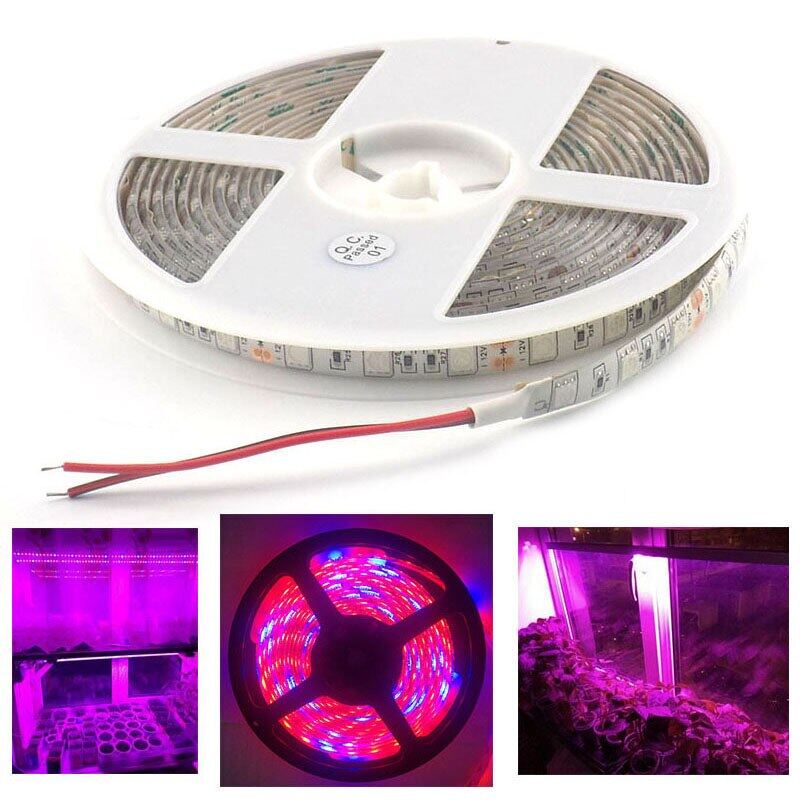 12v dc led grow lights