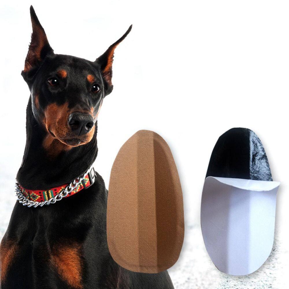 JNBY Dọc Hỗ trợ Chính xác Điều chỉnh tai cho thú cưng Dụng cụ dựng tai Chó pinscher Miếng dán đứng tai chó Đồ dùng cho chó Máy nhổ tai chó Dụng cụ chăm sóc tai