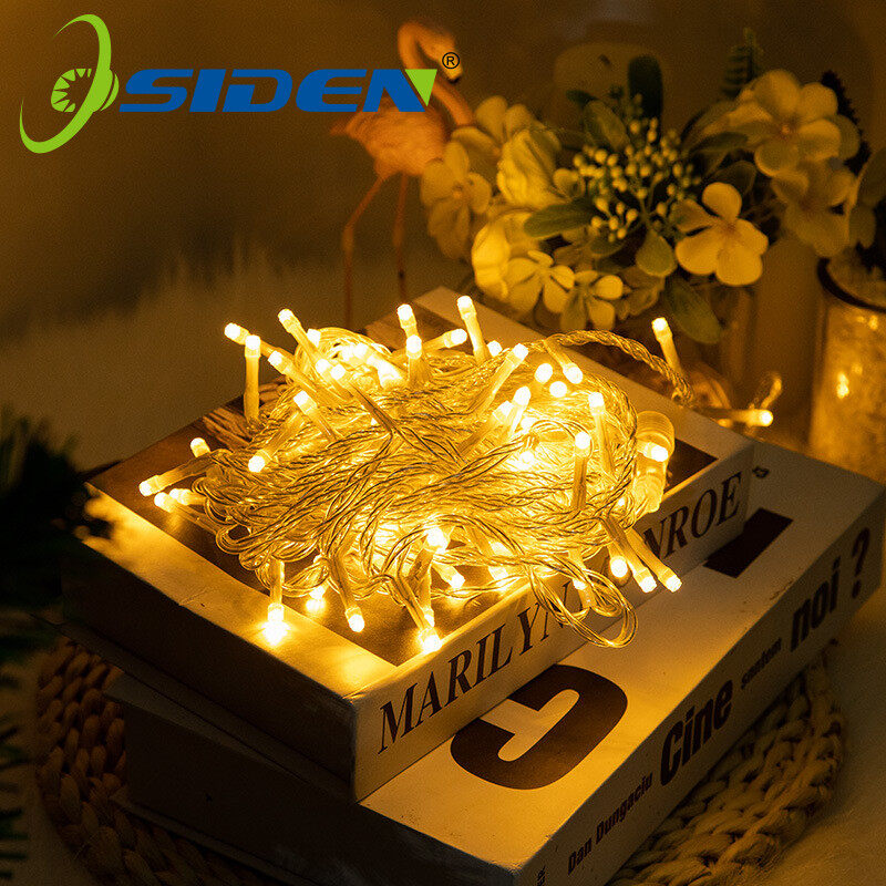 Đèn Led Dây Đèn Giáng Sinh Phích Cắm Fairy 5M 10M 20M AC220V EU, Vòng Hoa Tiệc Cưới Giáng Sinh HolidayDecoration Chiếu Sáng Ngoài Trời Không Thấm Nước 8 Chế Độ Trắng/Trắng Ấm/Màu/Màu Xanh 4 Tùy Chọn Màu Sắc Ánh Sáng Bức Màn