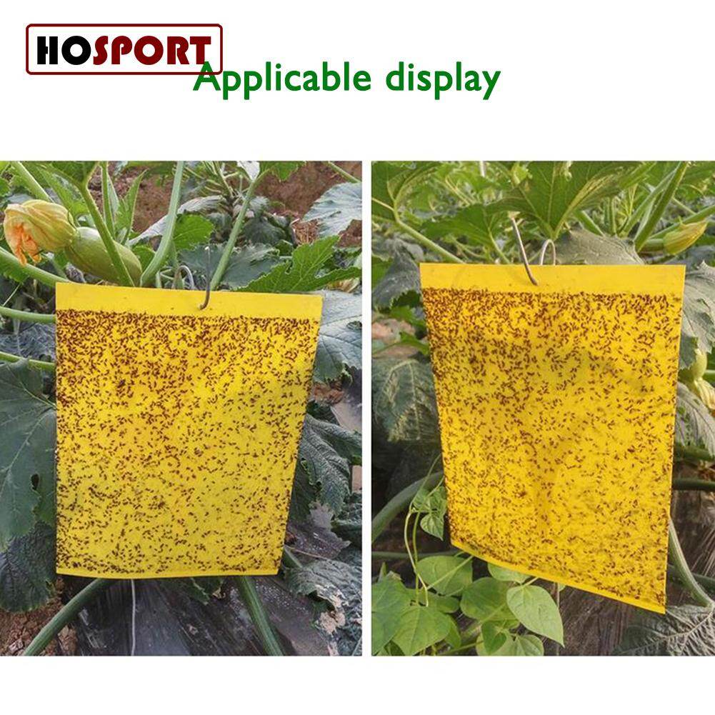 [HOSPORT] Bảng 50 Cái Bẫy Côn Trùng Dính Gián Bẫy Bắt Ruồi Côn Trùng Sâu Bọ Kiến Miếng Dán Keo Diệt Côn Trùng