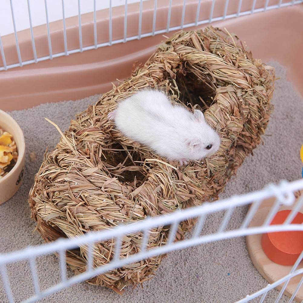 guinea pig nesting material