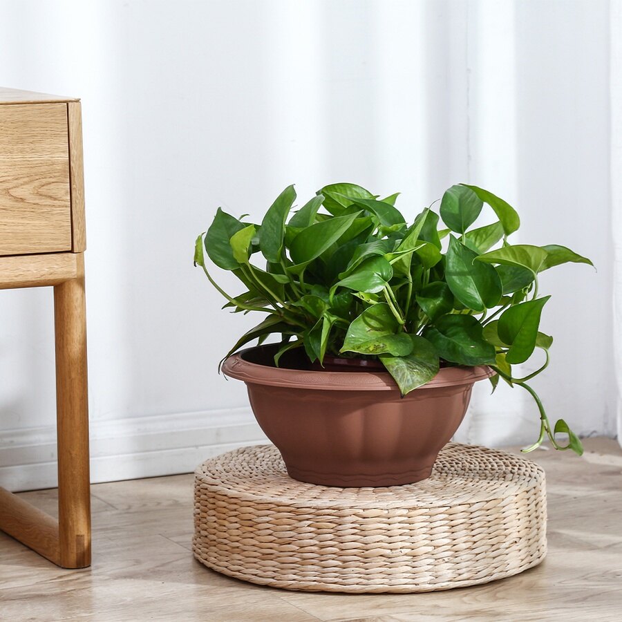 Global House Tree O กระถางต้นไม้ทรงกลม ขนาด 5 นิ้ว 6PY058-BN สีน้ำตาล รับประกันของเเท้ ราคา 65 บาท*ส่งฟรี