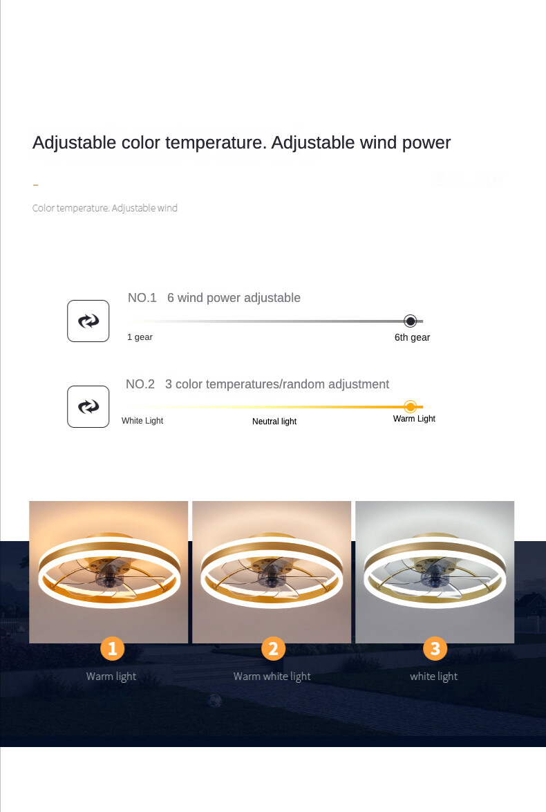 8223 five leaves_02.jpg