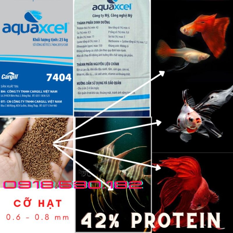1kg cám cá cargill aquaxcel 7404 hạt 0.6mm 42% đạm
