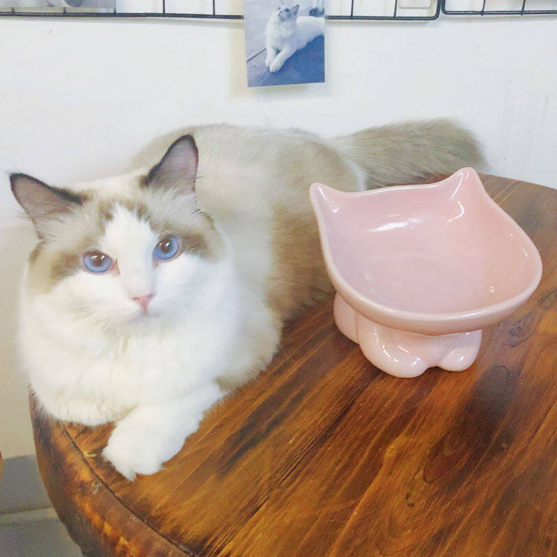 ZEJ837 Ceramic cat bowl high acute rice bowl Garfelc cat water bowl protect cervical cat food bowl slightly free pet supplies 3