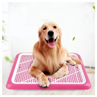 Plastic Dog Training Pads Tray Toilet Mat Potty Pad Puppy Tray Toilet Training Urinary Trainer Pee Mat (1)