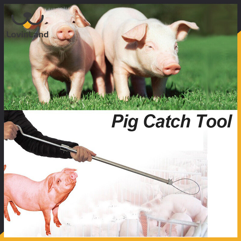 Lovinland Stainless Steel Hog Rod Type Holder Hog Catcher Tool Pig Farm