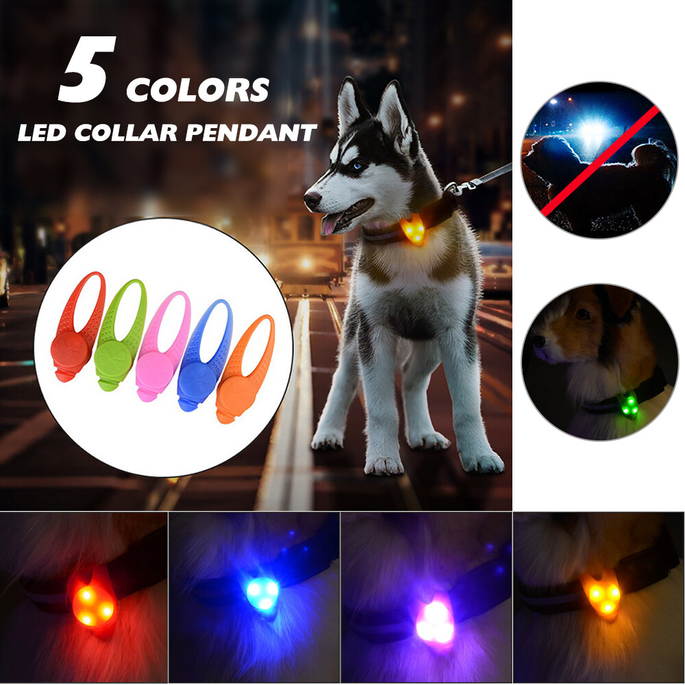 lights for dogs to wear