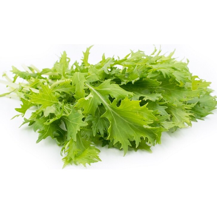 Hạt giống cải mù tạt chịu hạn 0.5gr