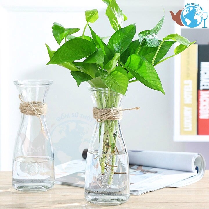 Combo 2 bình bông lọ hoa thủy tinh eo chữ love dễ thương - 2 bình thủy tinh eo nhỏ+tặng kèm dây dừa trang trí