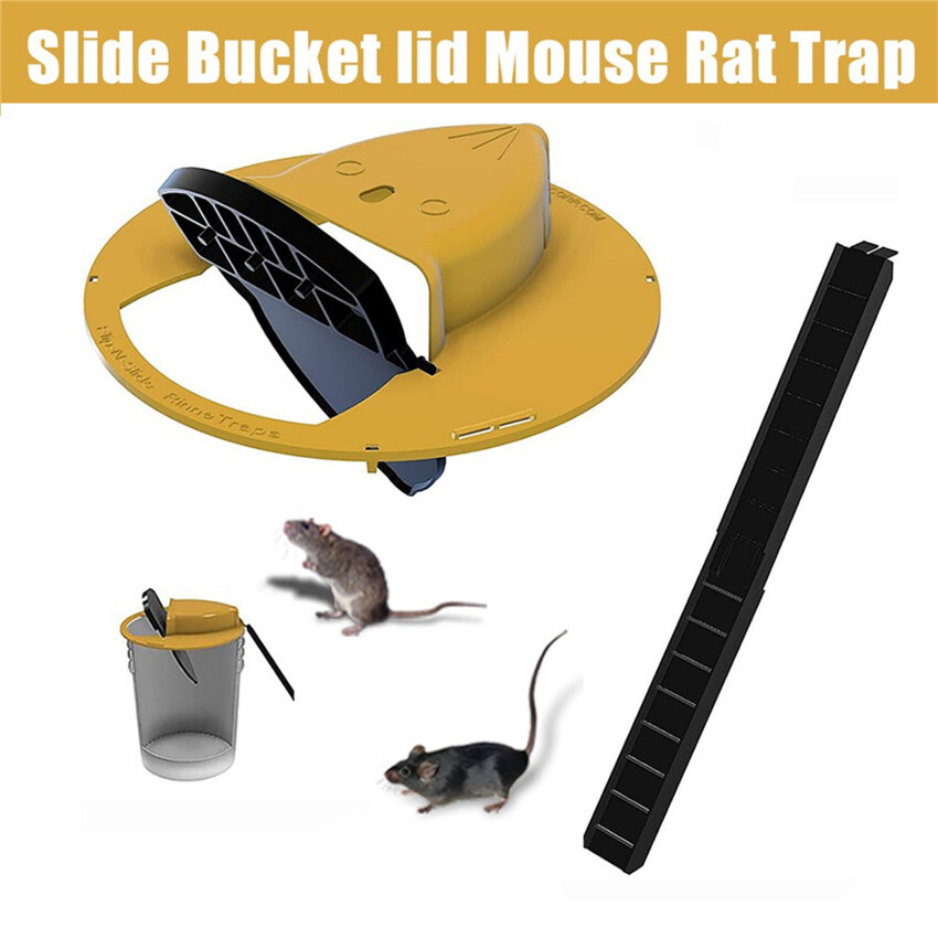 Bẫy chuột tái sử dụng thùng nhựa nắp bẫy chuột nhân đạo hoặc gây chết người mousetrap cho chuột đa bắt tự động thiết lập lại bẫy chuột