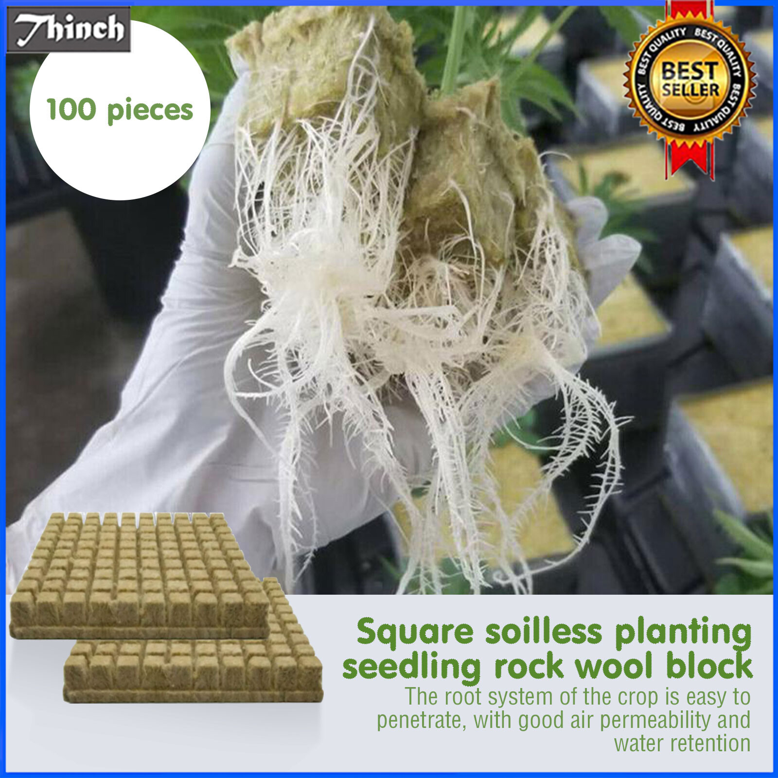 High quality goods Discount Exclusive Brands Discounted price 50x Plant