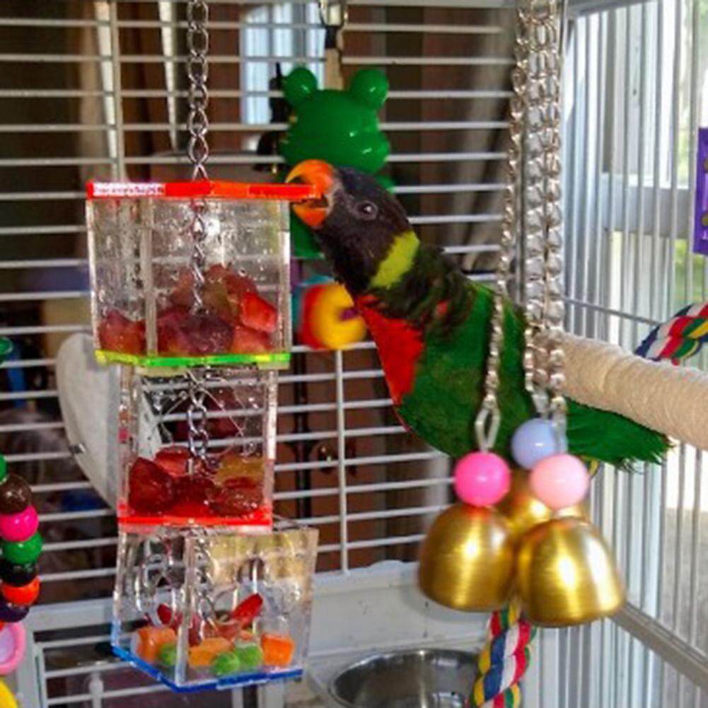 Foraging Toys For Rats Wow Blog