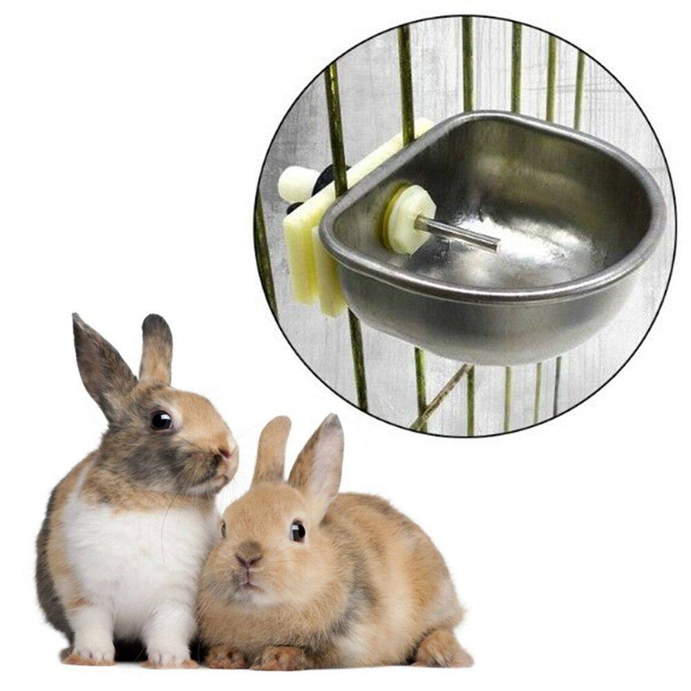 automatic rabbit water bowl