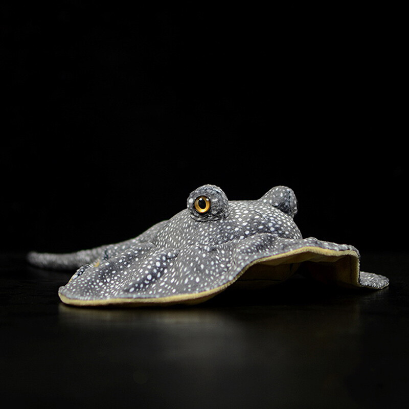 sting ray teddy