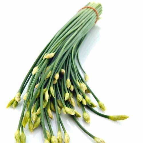 Hạt giống hẹ ăn bông dễ trồng 1gr