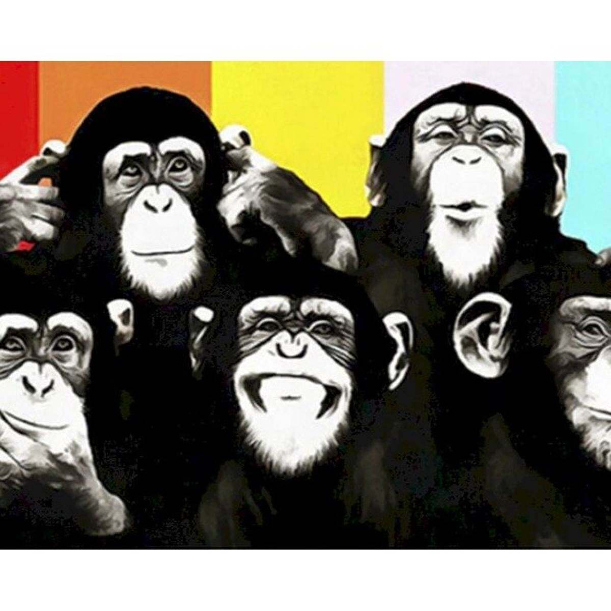 Постер шимпанзе