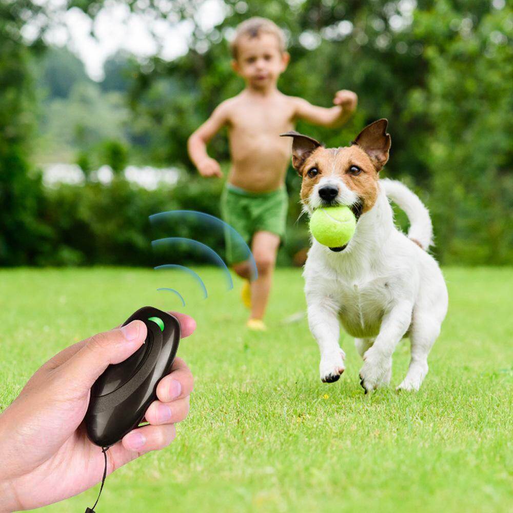 handheld dog barking deterrent