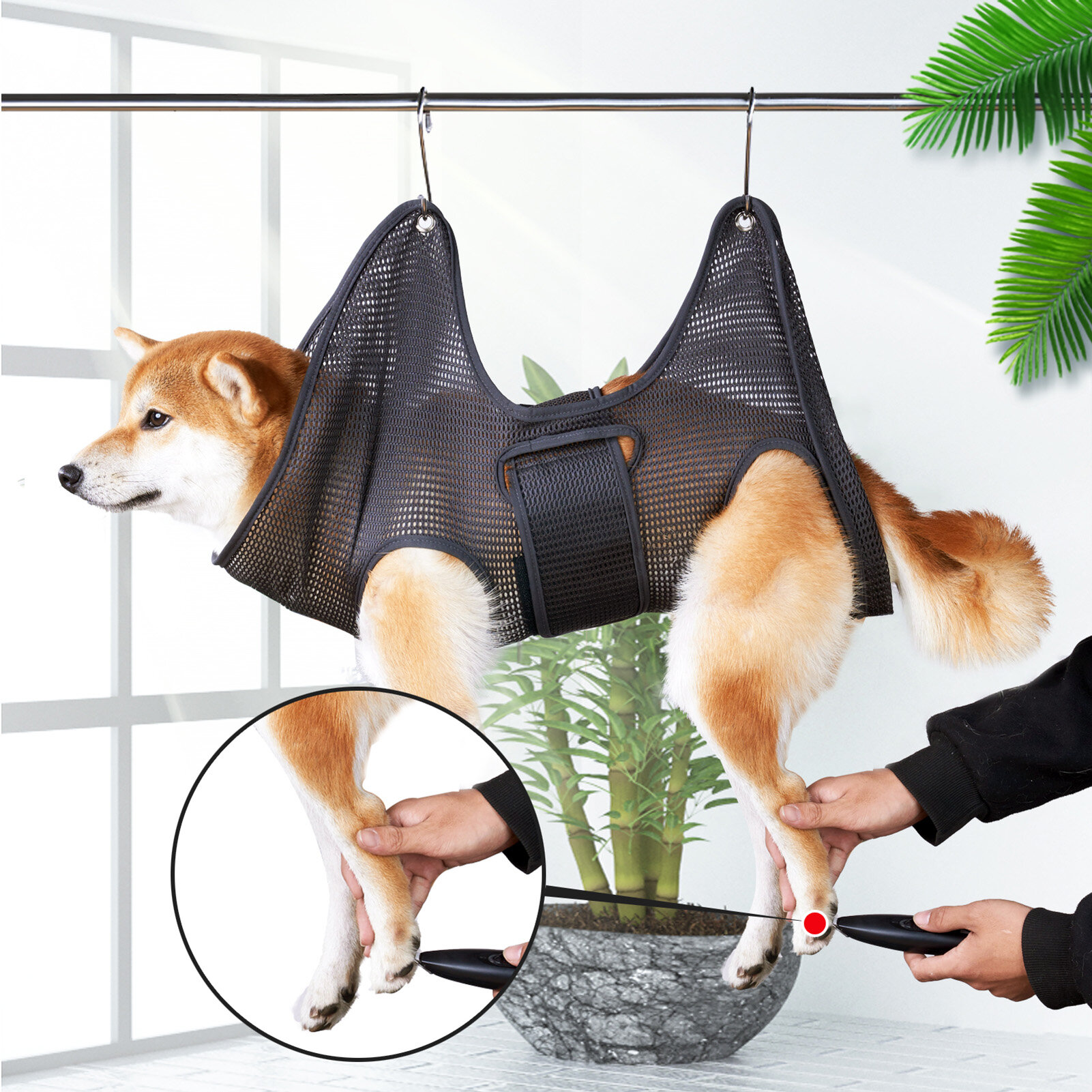 Đai võng chải lông thú cưng cho chó mèo dây đeo bằng lưới thoáng khí cho chó