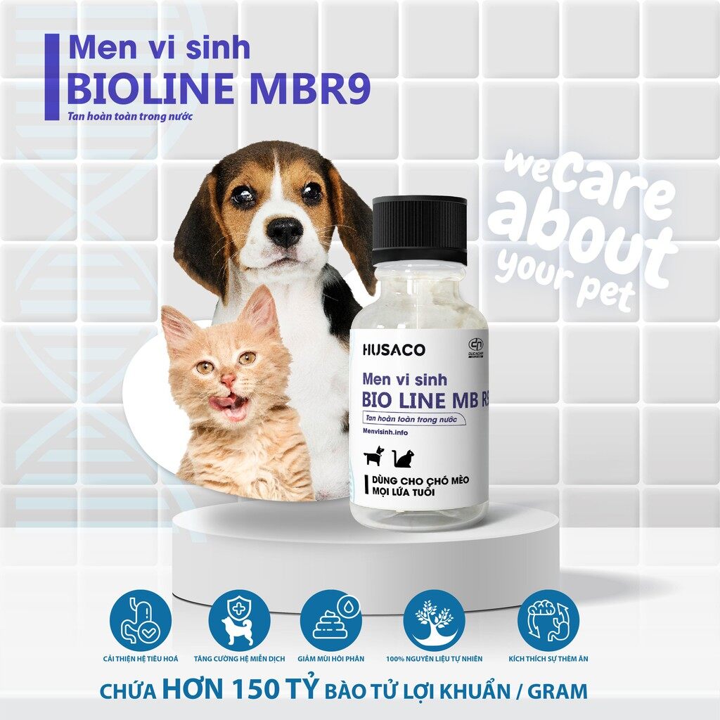 MEN VI SINH MBR9 CHO CHÓ MÈO HỖ TRỢ TIÊU HÓA, KÍCH THÍCH THÈM ĂN, GIẢM MÙI HÔI CHẤT THẢI