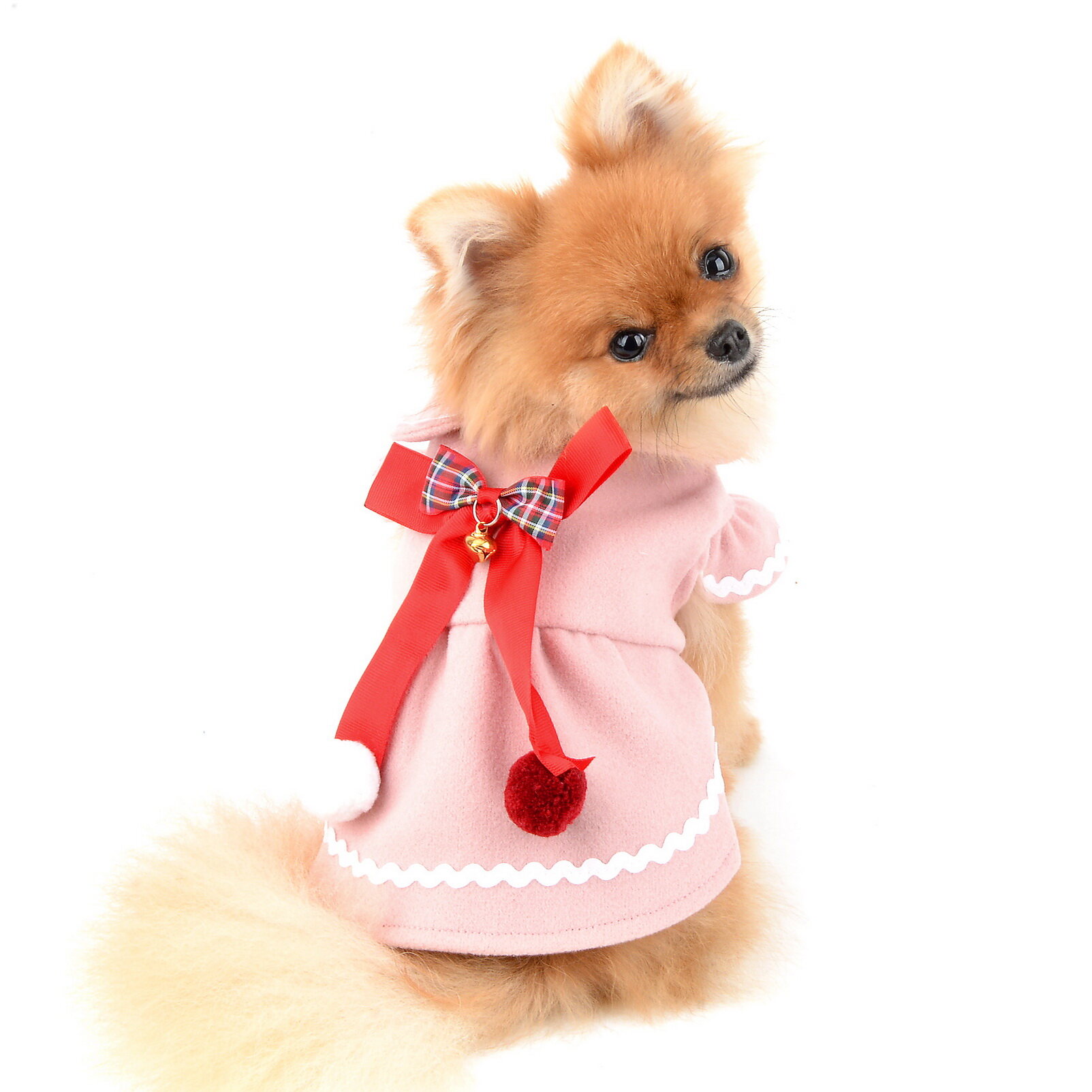 female dog jackets