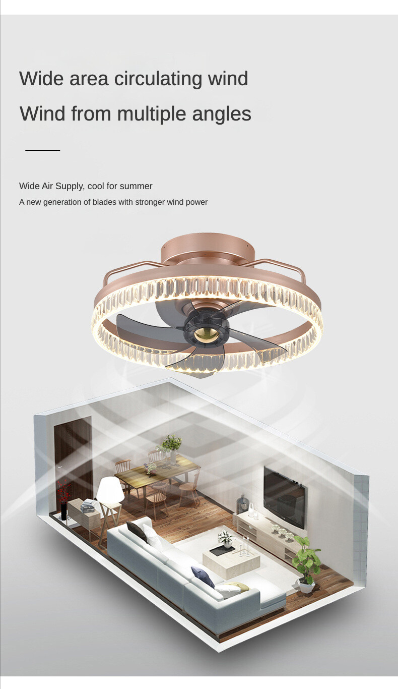 Details page reversion_10.jpg