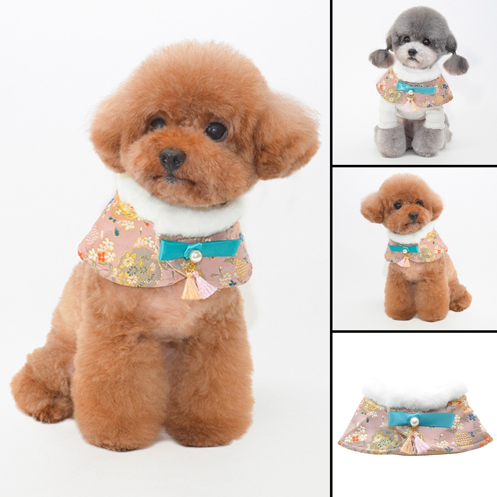 toy poodle pret