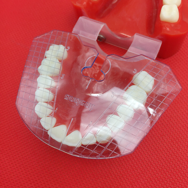 1 tấm dẫn hướng nha khoa cho phòng thí nghiệm nha khoa dụng cụ sắp xếp răng giả dụng cụ nha khoa