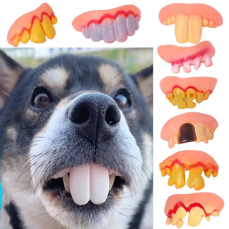 False Teeth For Dog Funny Dentures Pet Decorating Supplies Halloween