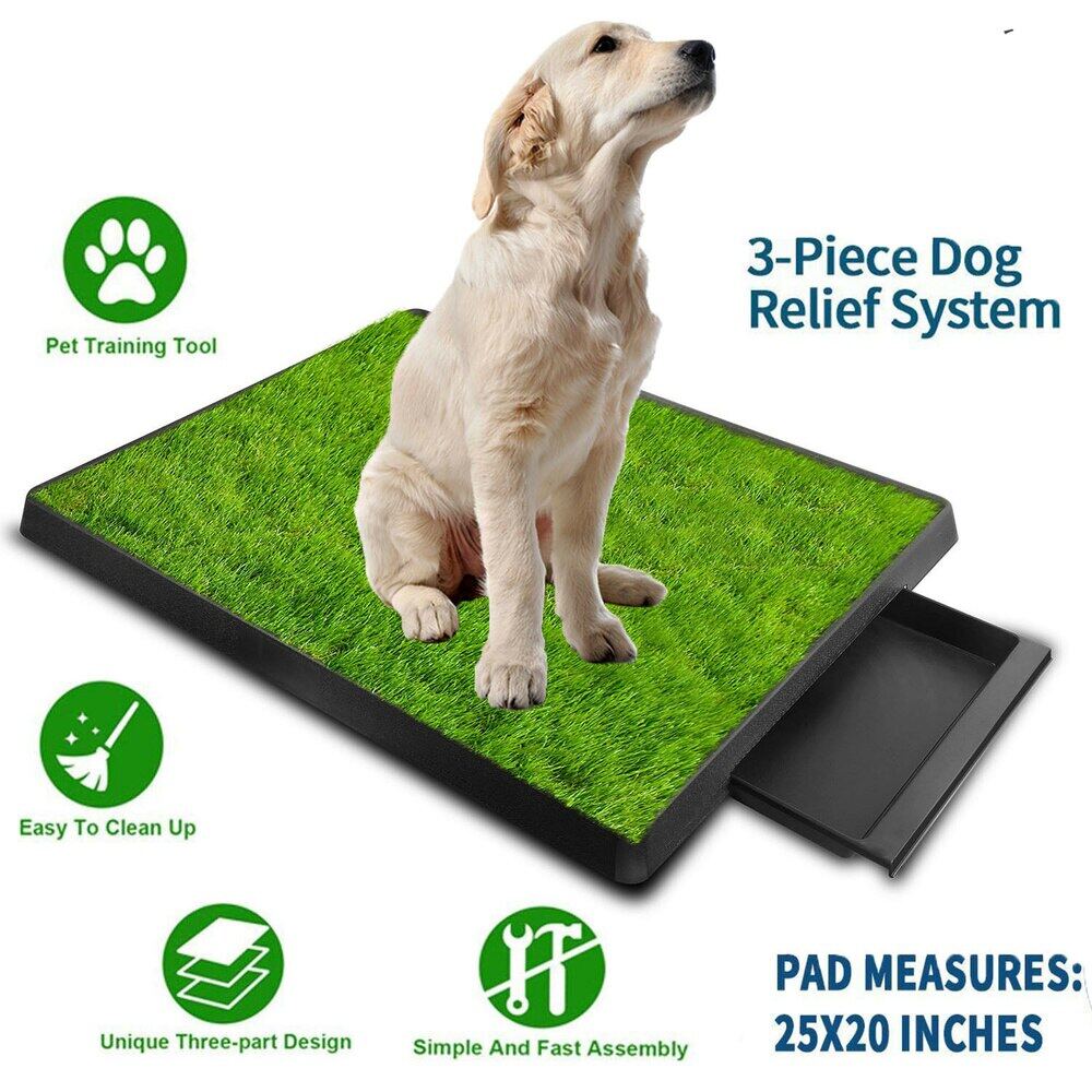 real grass dog potty