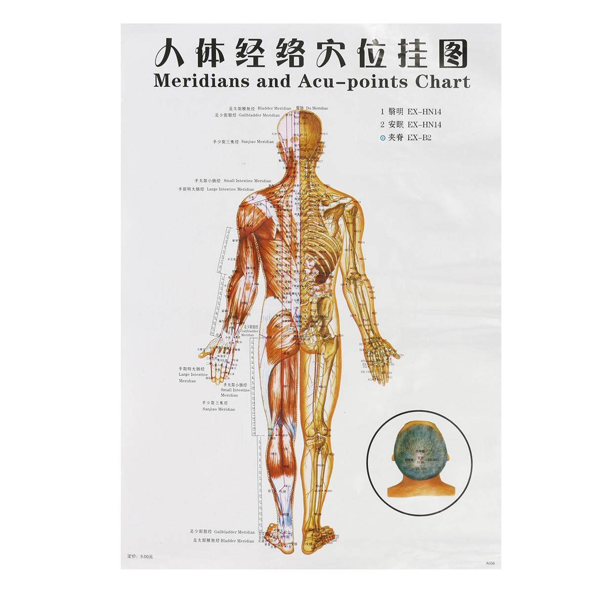 Shop Generic 7pcs English Acupuncture Meridian Acupressure Points