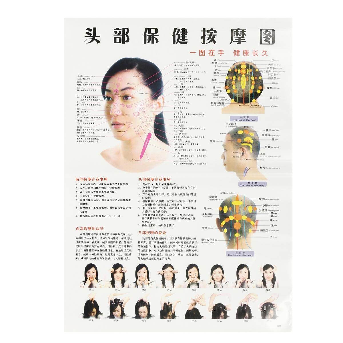 Shop Generic 7pcs English Acupuncture Meridian Acupressure Points