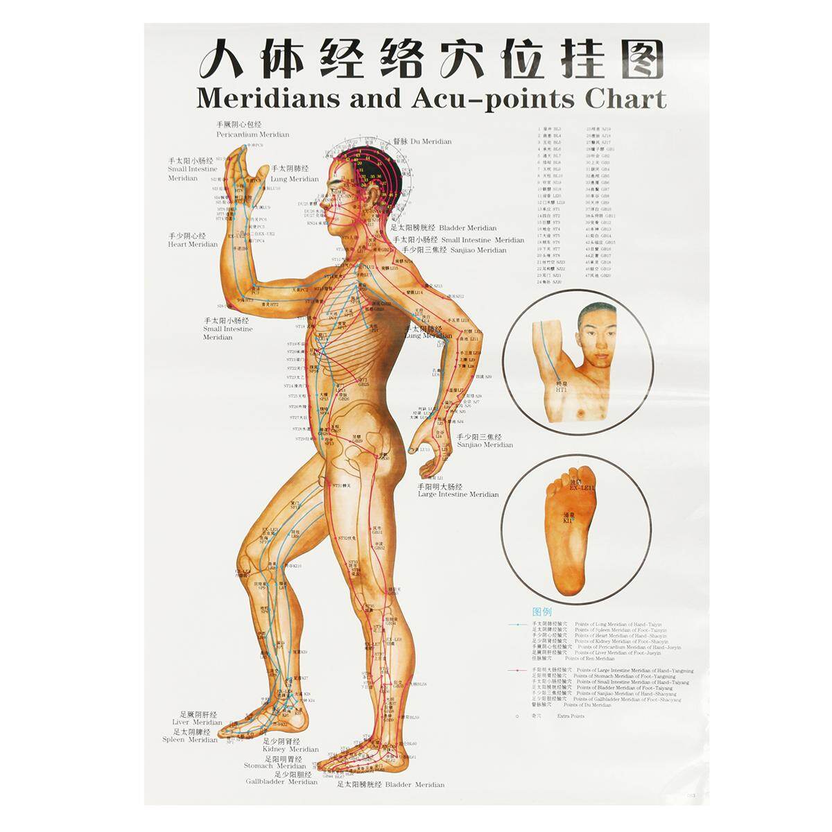 Shop Generic 7pcs English Acupuncture Meridian Acupressure Points