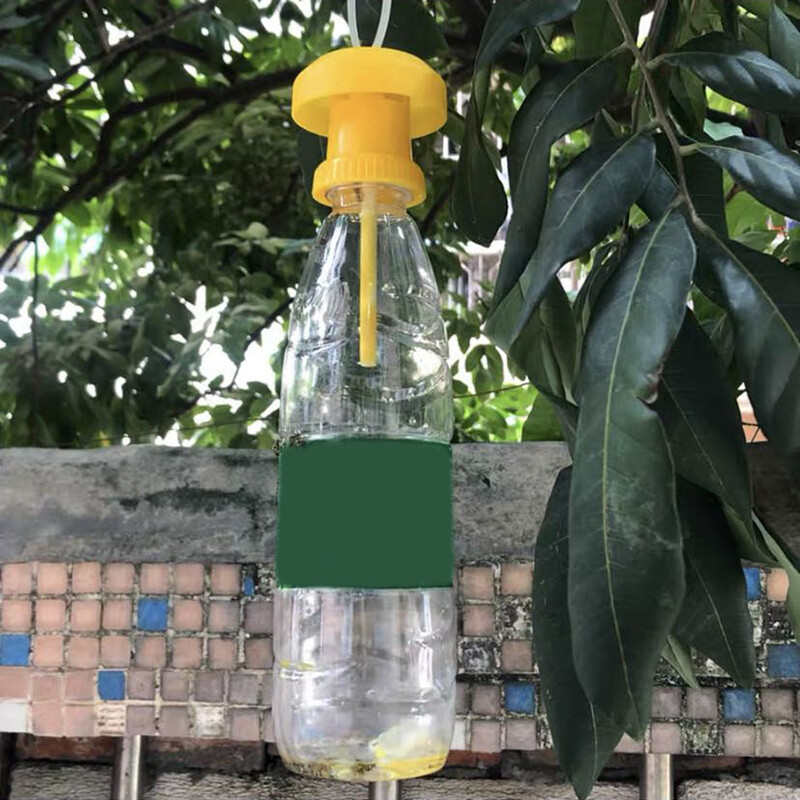Rjnfwlee bẫy ruồi trái cây bẫy bắt ruồi bằng nhựa bẫy bắt ruồi kiểm soát côn trùng gây hại