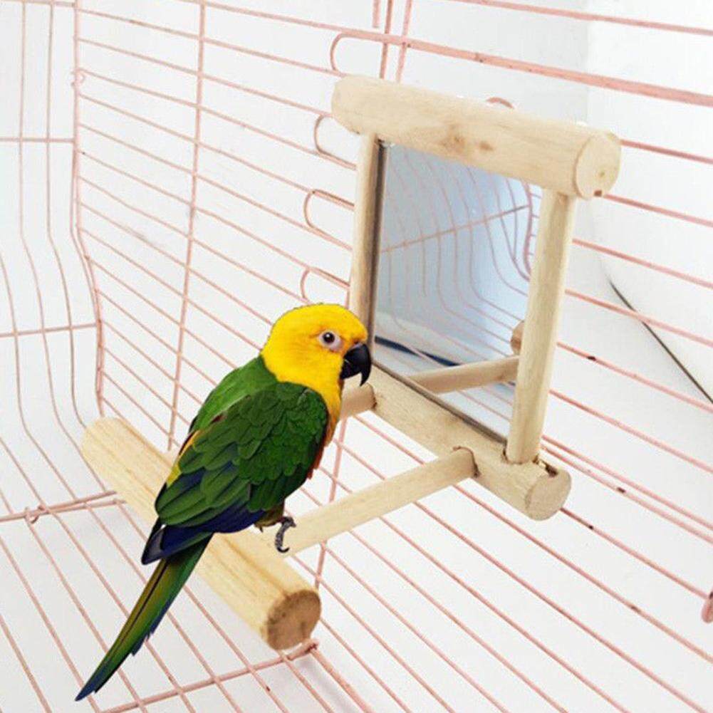 bird swing with mirror