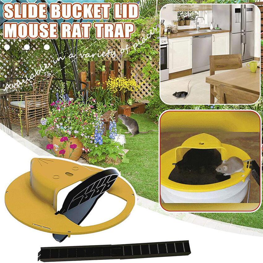 Bẫy chuột tái sử dụng thùng nhựa nắp bẫy chuột nhân đạo hoặc gây chết người mousetrap cho chuột đa bắt tự động thiết lập lại bẫy chuột