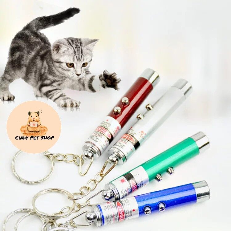 Đèn laser kiêm móc khóa 2 in 1 - đồ chơi cho mèo