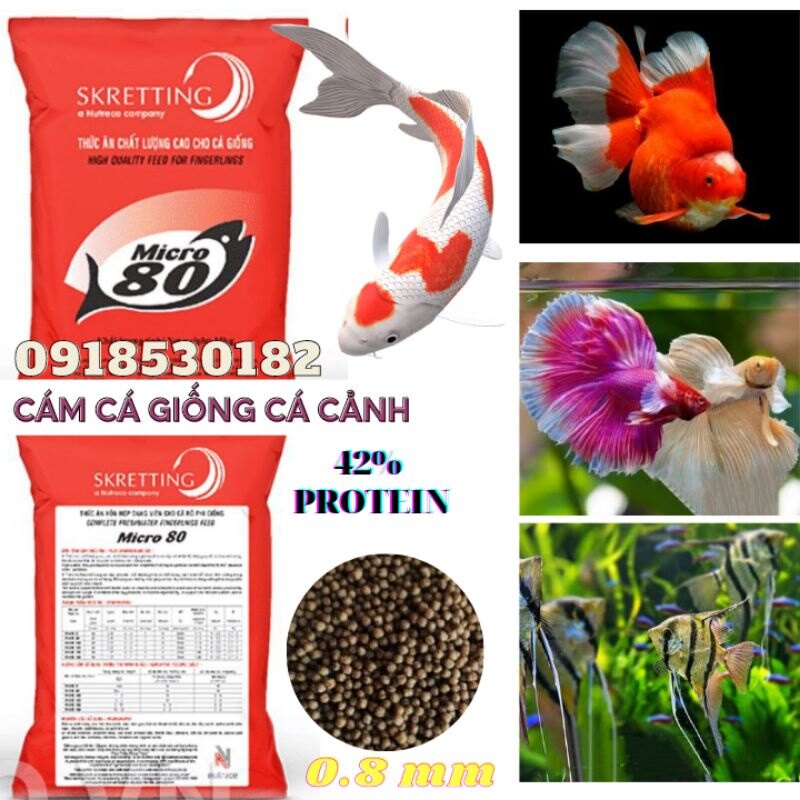 Cám micro80 42% đạm, cám cá giống, cá koi, cá vàng - 1 kg